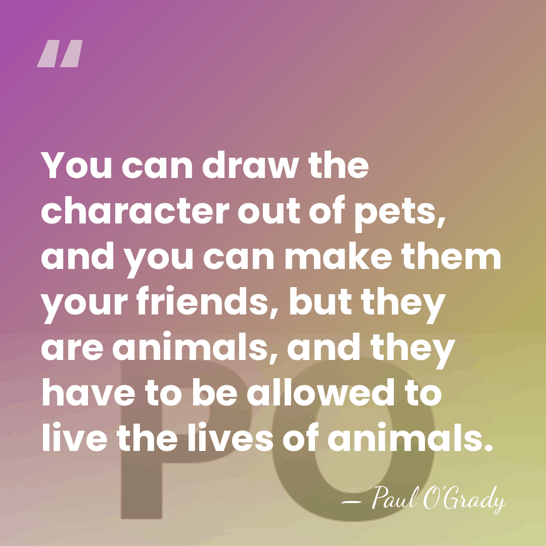 You can draw the character out of pets, and you can make&hellip; - Paul O'Grady