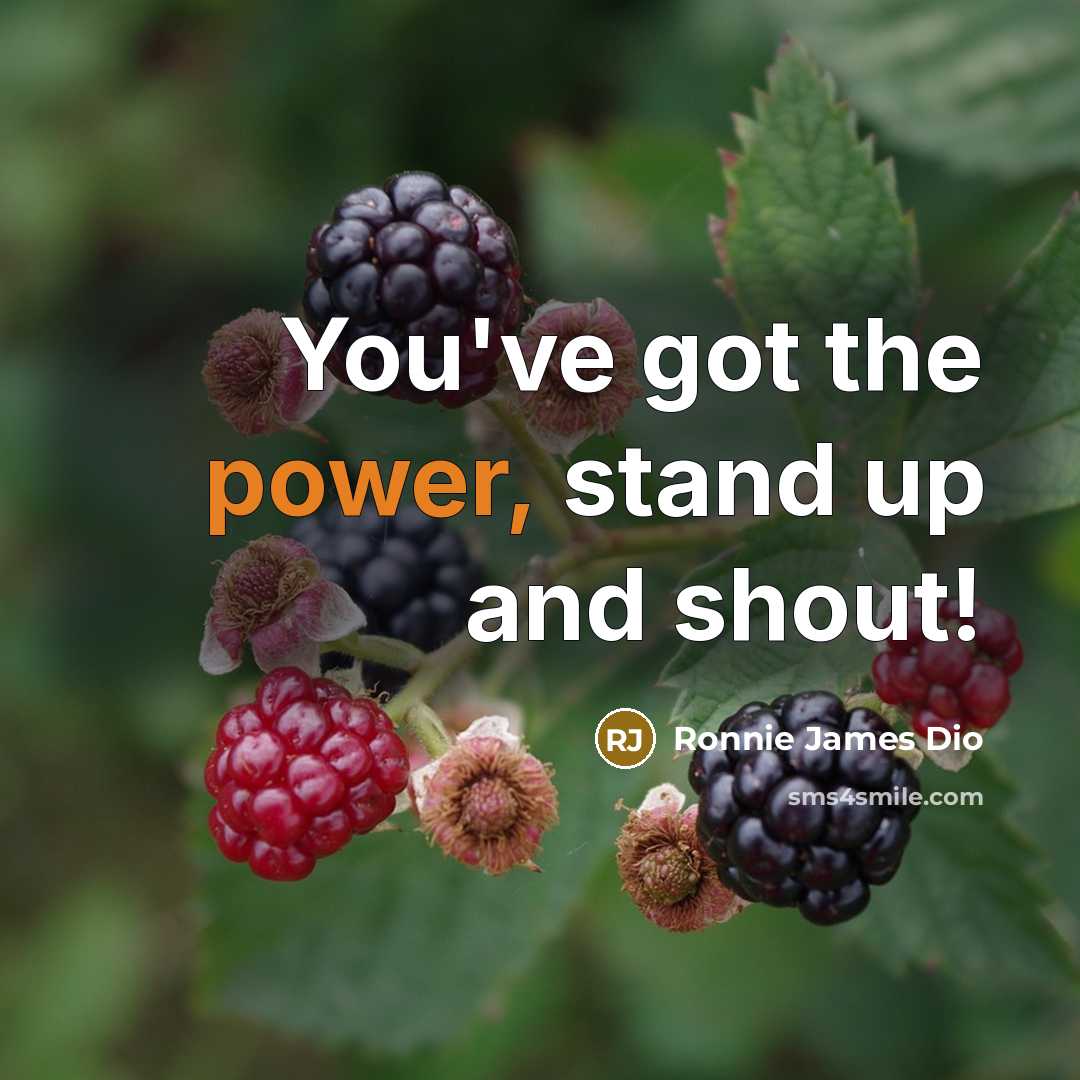 “You've got the power, stand up and shout!…” quote by Ronnie James Dio