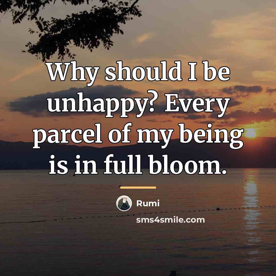 “Why should I be unhappy? Every parcel of my being…” quote by Rumi