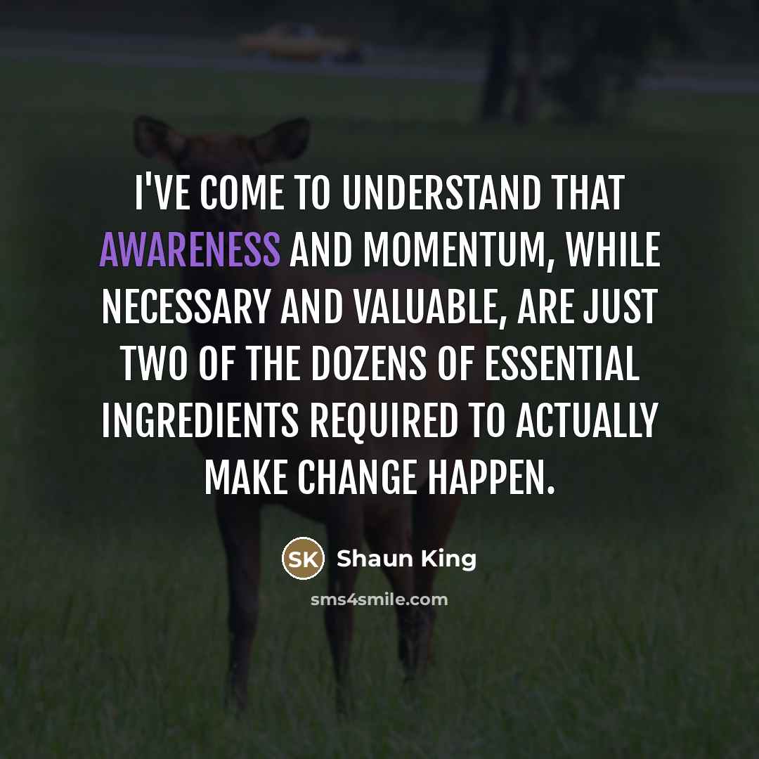 “I've come to understand that awareness and momentum, while necessary…” quote by Shaun King