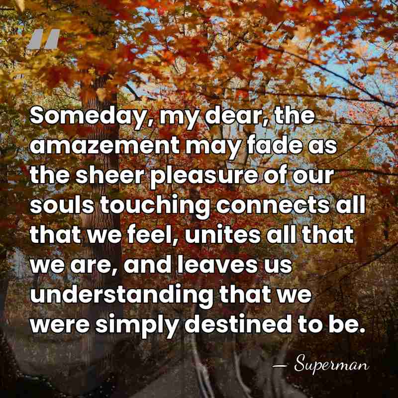 Someday, my dear, the amazement may fade as the sheer pleasure of&hellip; - Superman