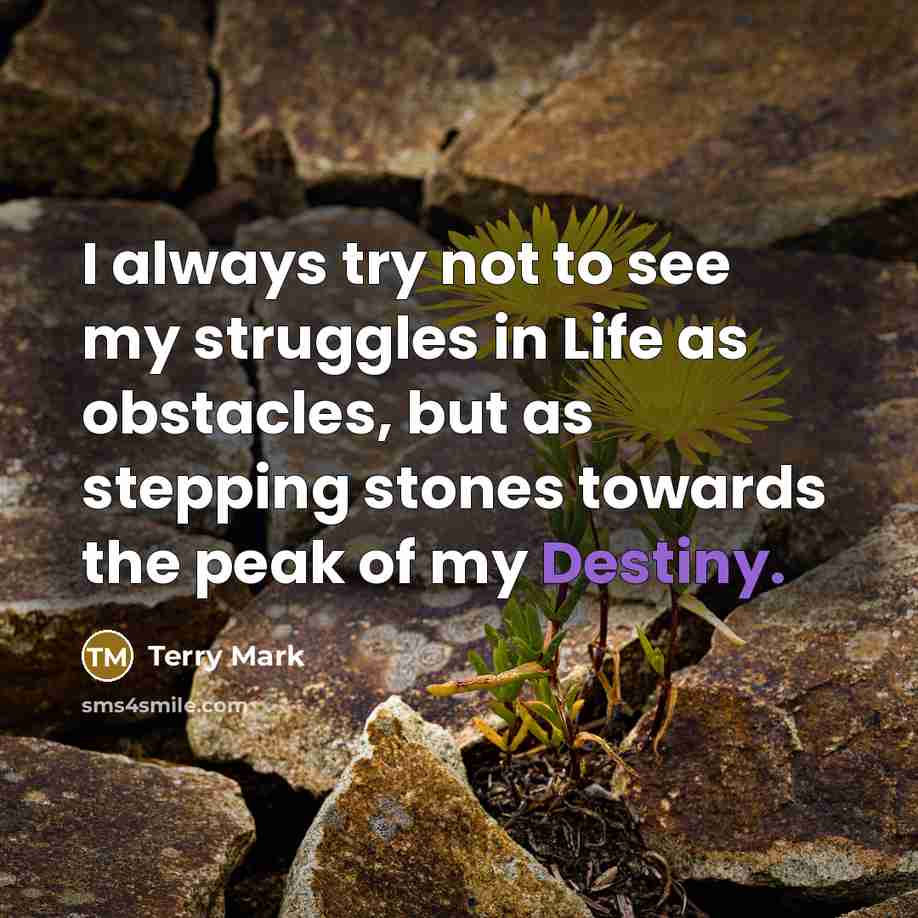“I always try not to see my struggles in Life…” quote by Terry Mark