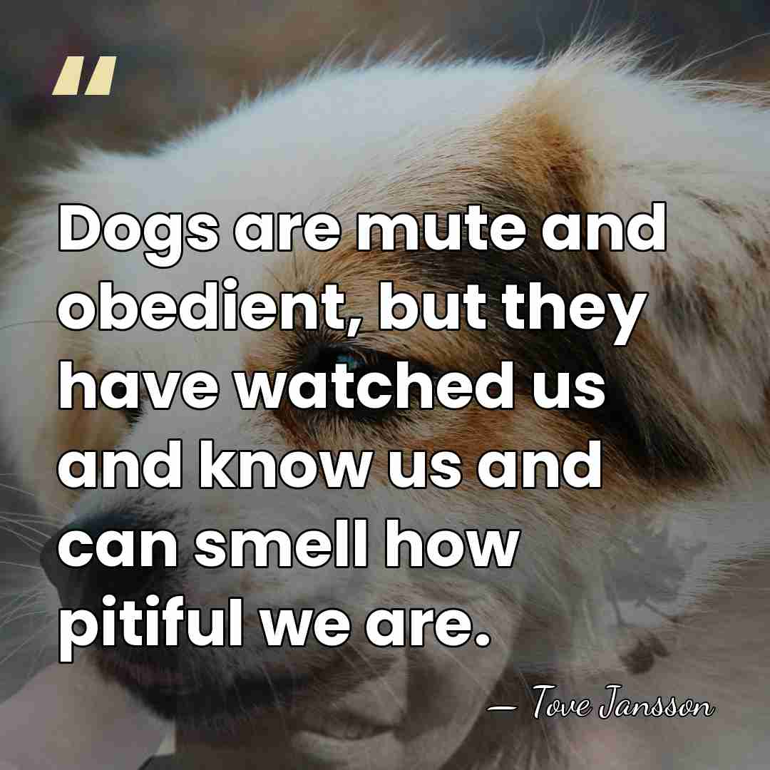 Dogs are mute and obedient, but they have watched us and know&hellip; - Tove Jansson