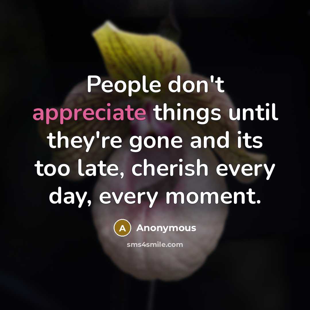 “People don't appreciate things until they're gone and its too…” quote by Anonymous