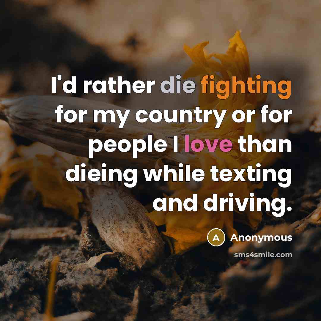“I'd rather die fighting for my country or for people I love than dieing while texting and driving.” quote by Anonymous