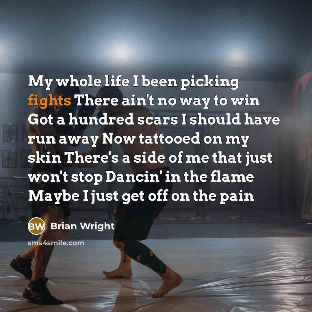 “My whole life I been picking fights There ain't no…” quote by Brian Wright