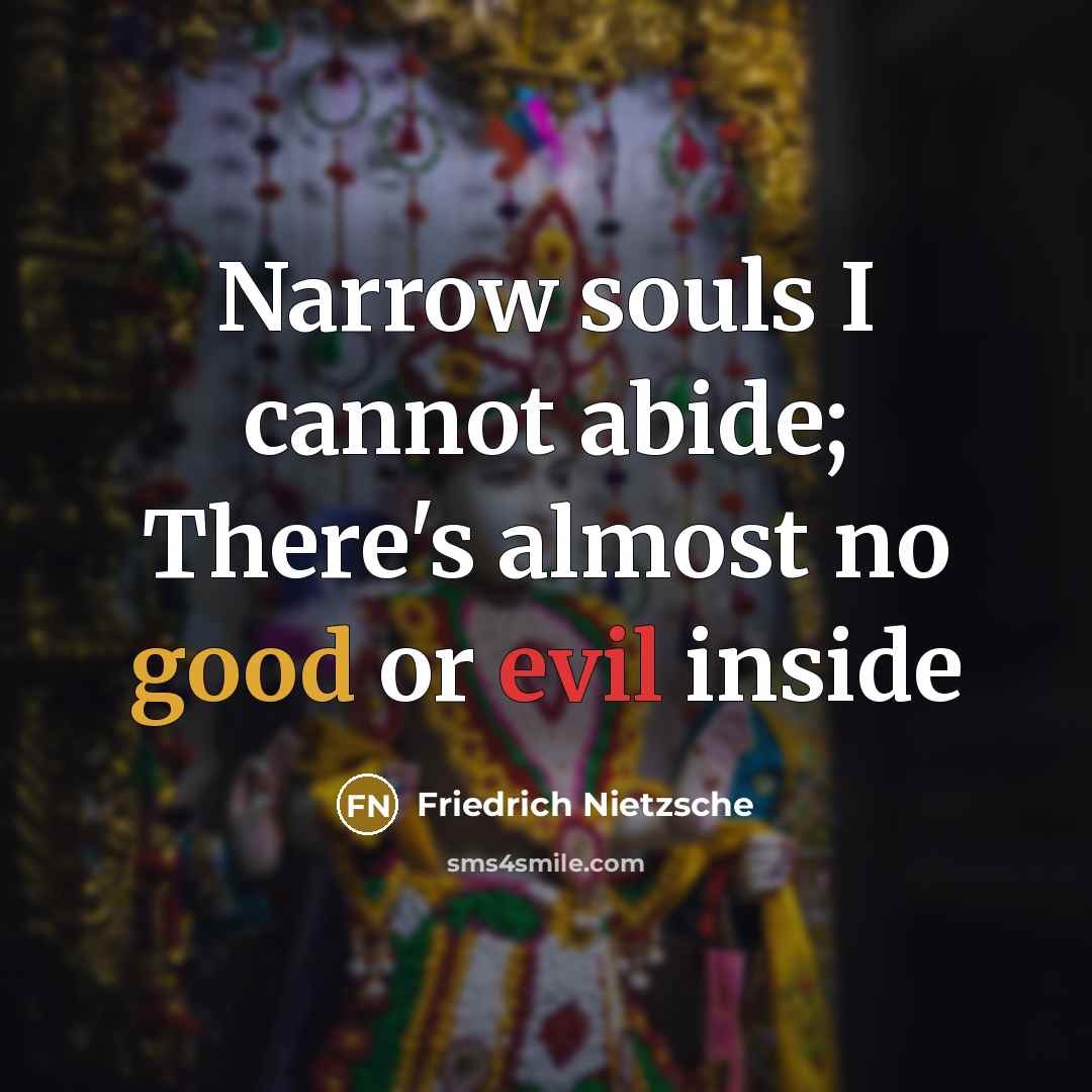 “Narrow souls I cannot abide; There's almost no good or…” quote by Friedrich Nietzsche