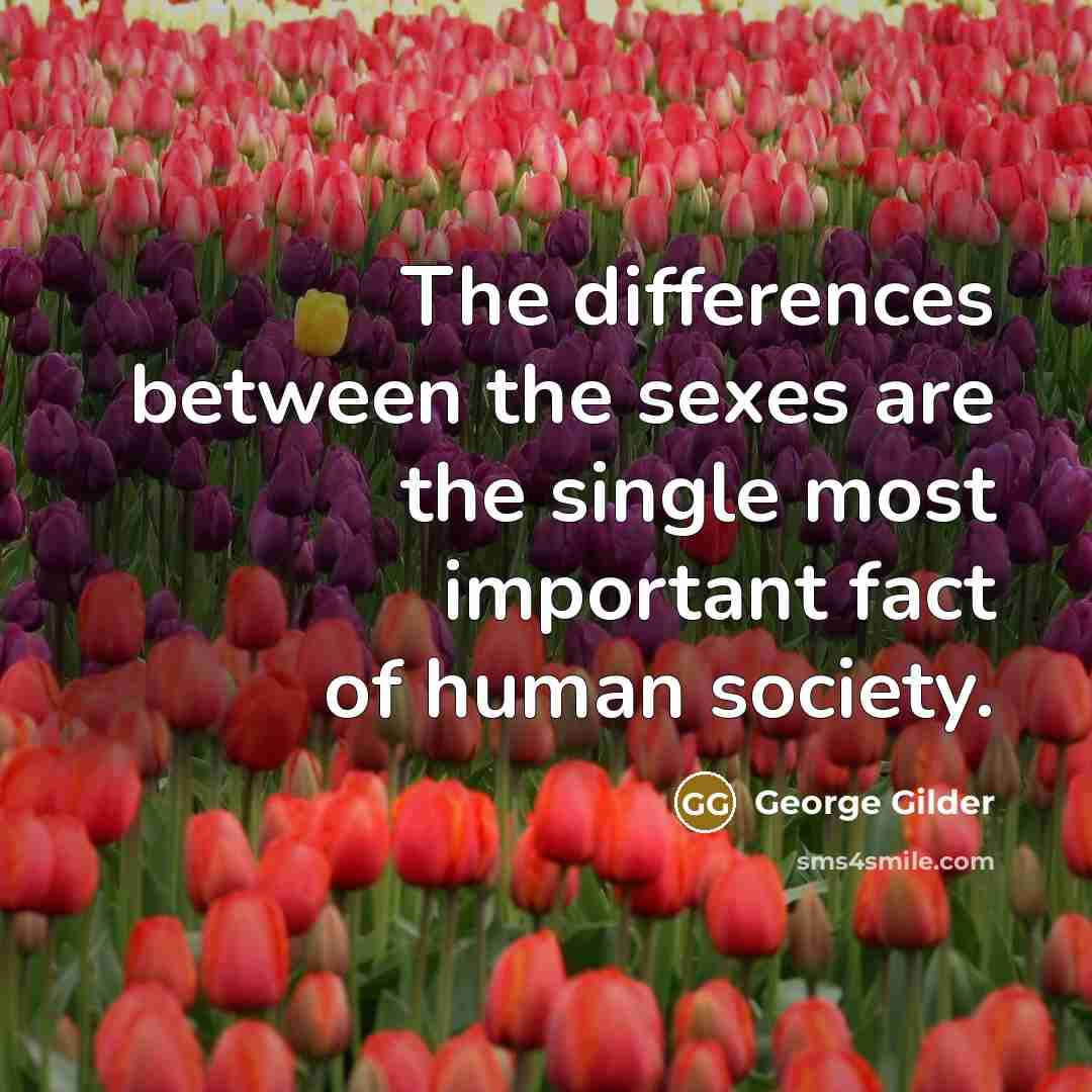 “The differences between the sexes are the single most important…” quote by George Gilder