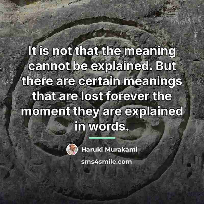 “It is not that the meaning cannot be explained. But…” quote by Haruki Murakami