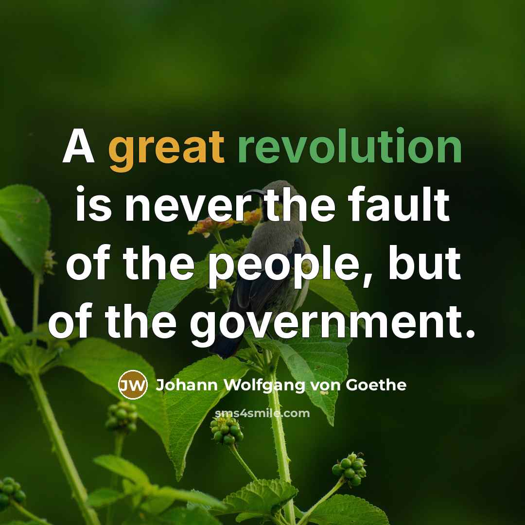 “A great revolution is never the fault of the people,…” quote by Johann Wolfgang von Goethe