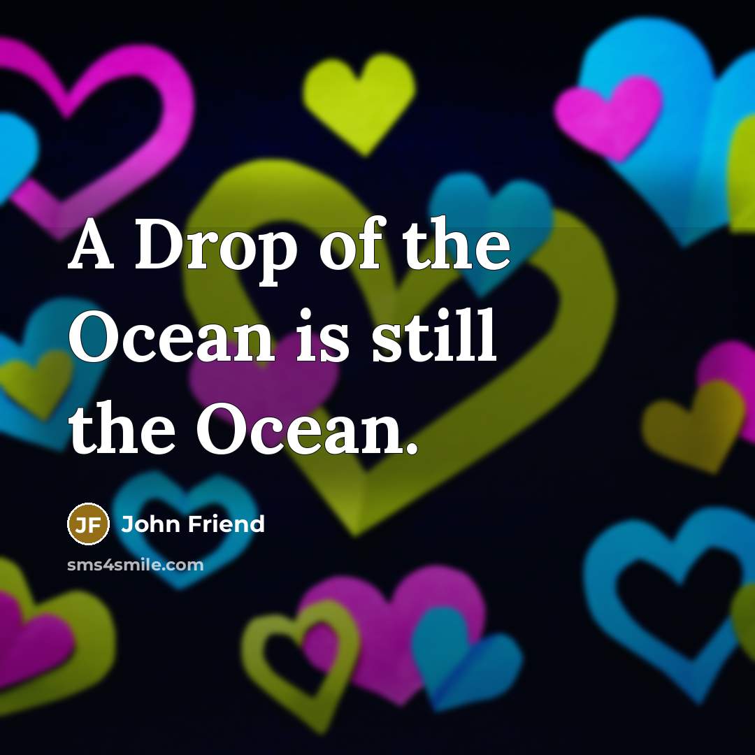 “A Drop of the Ocean is still the Ocean.…” quote by John Friend