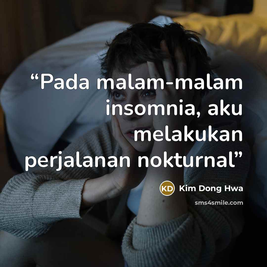 “Pada malam-malam insomnia, aku melakukan perjalanan nokturnal” quote by Kim Dong Hwa