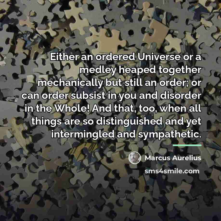 “Either an ordered Universe or a medley heaped together mechanically…” quote by Marcus Aurelius