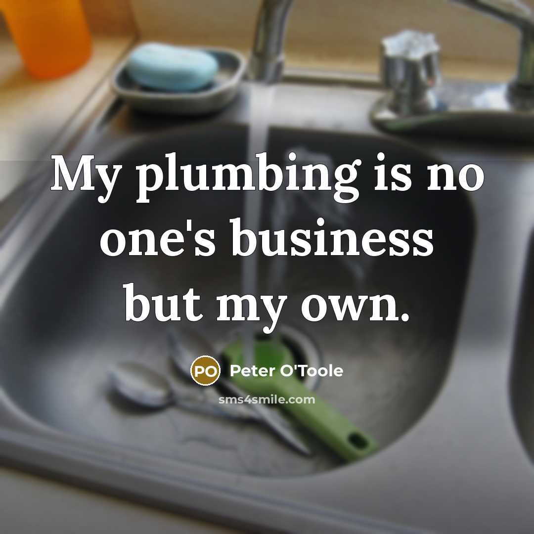 “My plumbing is no one's business but my own.…” quote by Peter O'Toole