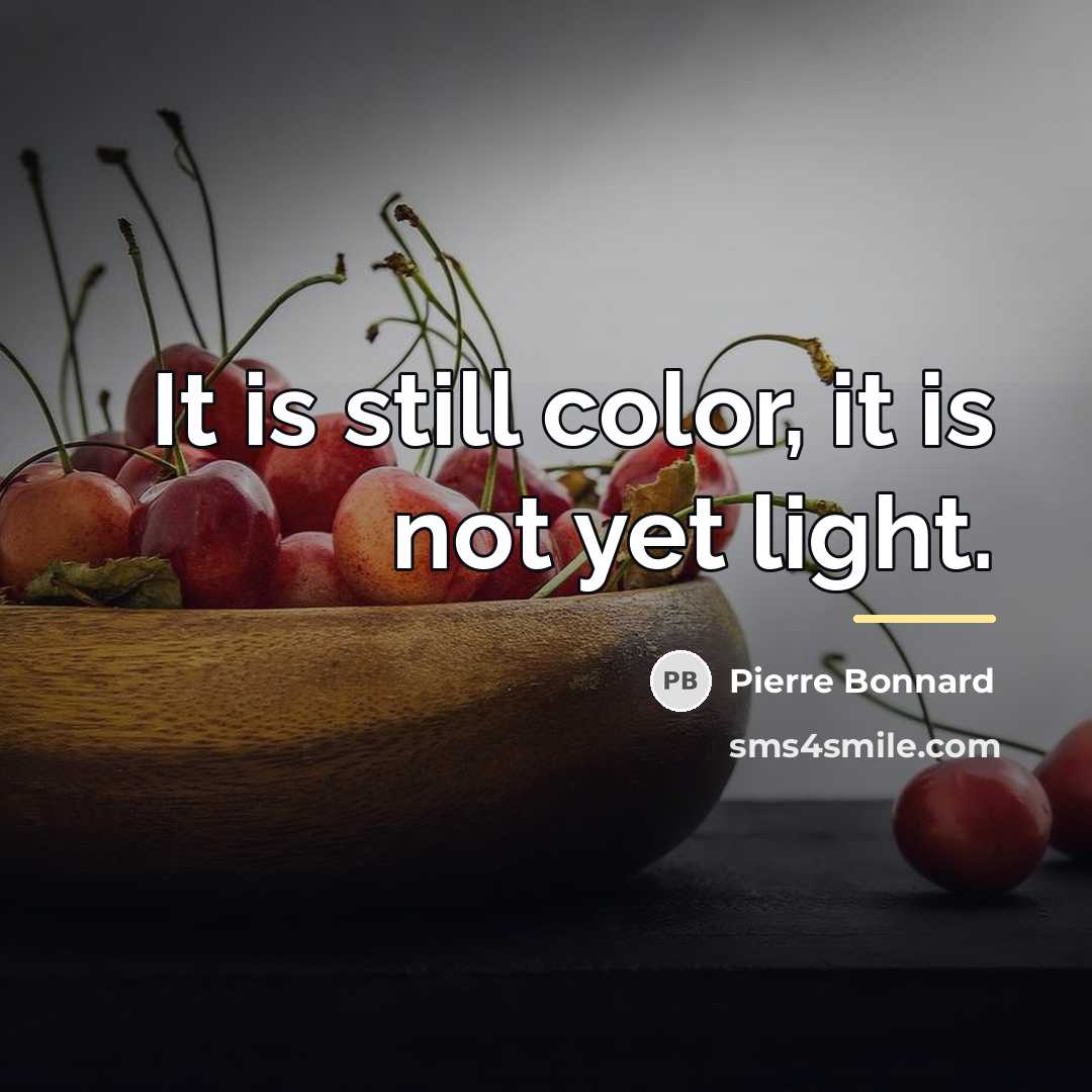 “It is still color, it is not yet light.…” quote by Pierre Bonnard