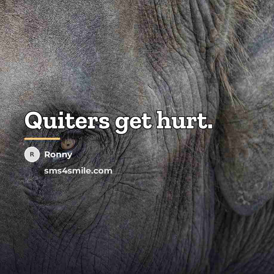 “Quiters get hurt.…” quote by Ronny