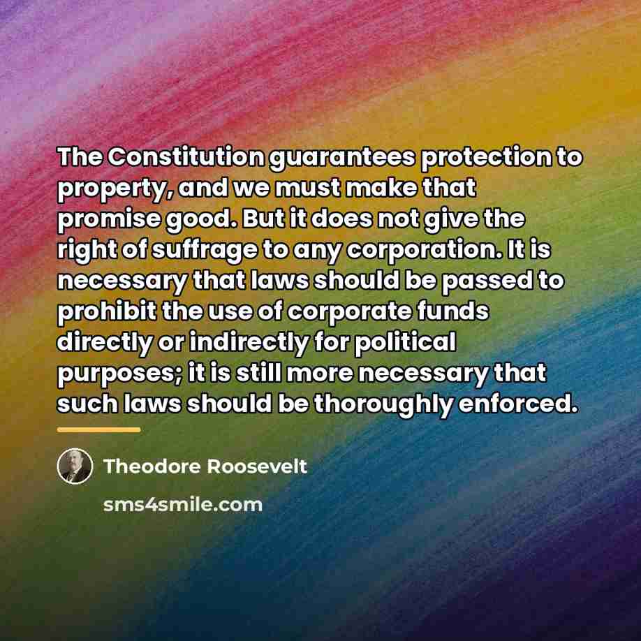 “The Constitution guarantees protection to property, and we must make…” quote by Theodore Roosevelt