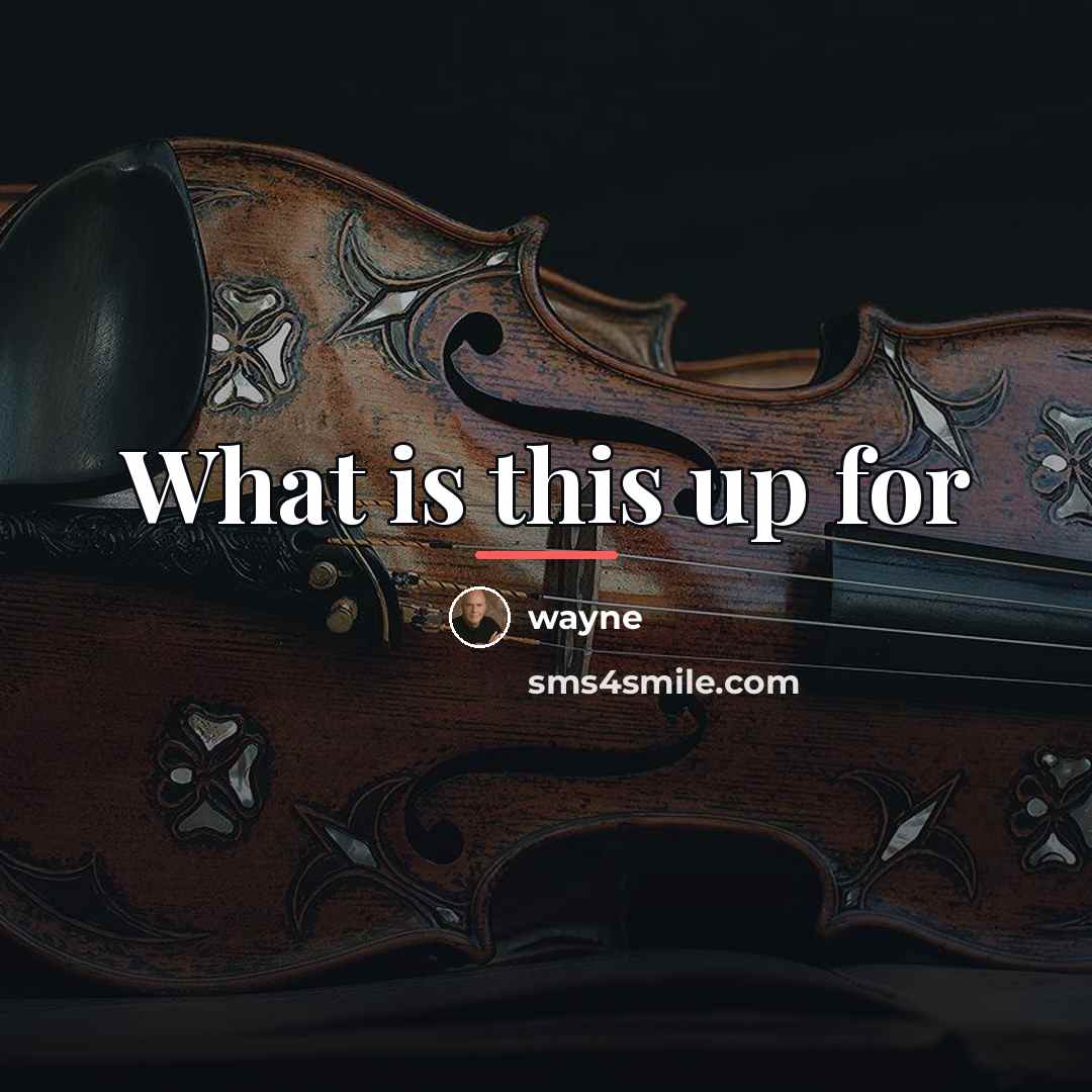 “What is this up for…” quote by Wayne