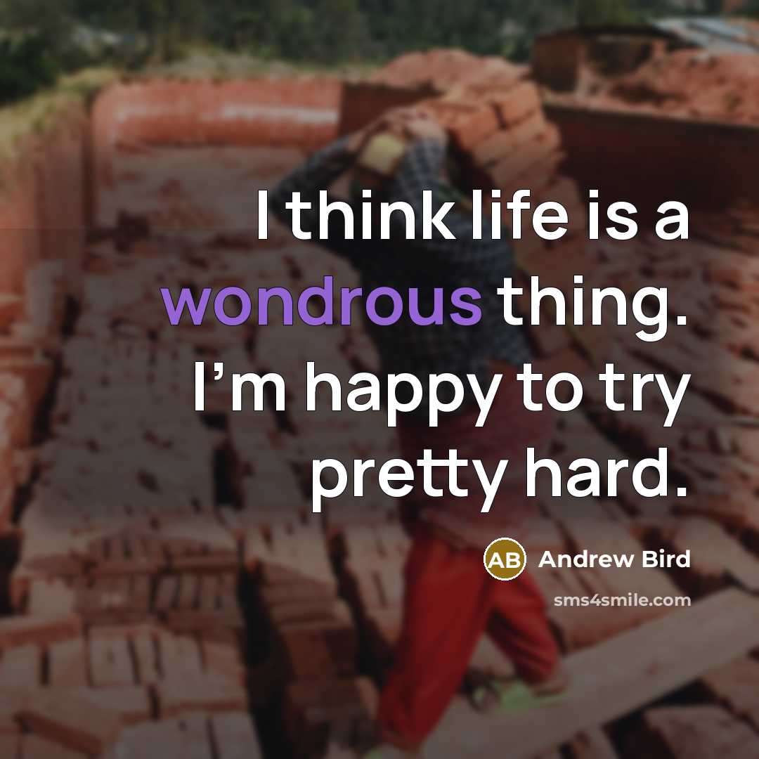 “I think life is a wondrous thing. I'm happy to…” quote by Andrew Bird