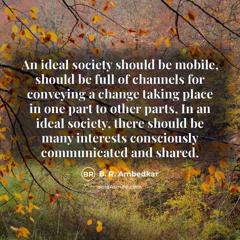 “An ideal society should be mobile, should be full of…” quote by B. R. Ambedkar