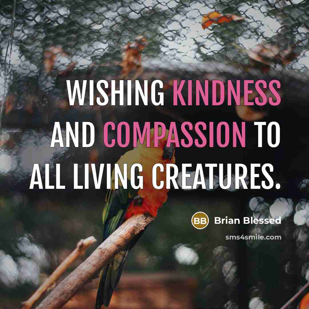 “Wishing kindness and compassion to all living creatures.” quote by Brian Blessed