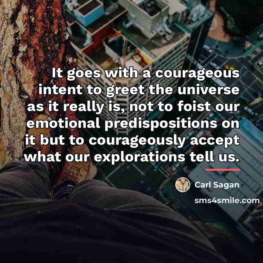 “It goes with a courageous intent to greet the universe…” quote by Carl Sagan