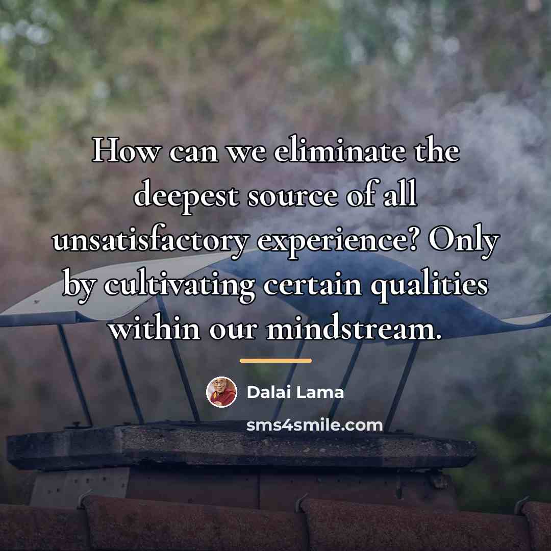 “How can we eliminate the deepest source of all unsatisfactory…” quote by Dalai Lama