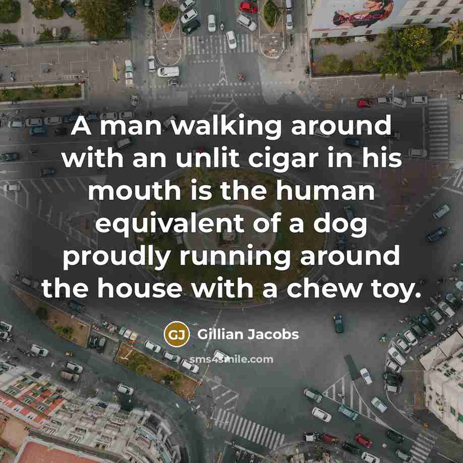 “A man walking around with an unlit cigar in his mouth is the human equivalent of a dog proudly running around the house with a chew toy.” quote by Gillian Jacobs