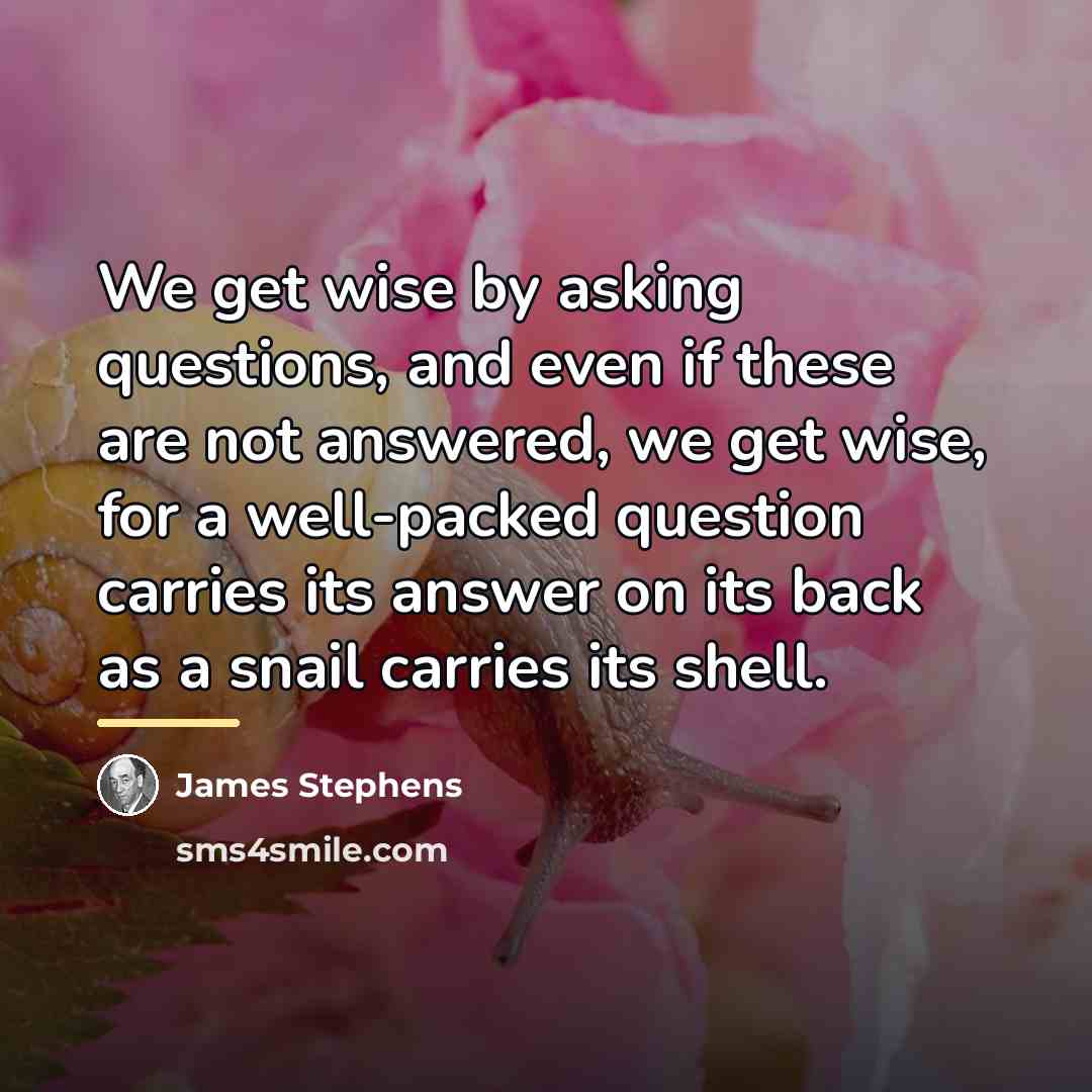 “We get wise by asking questions, and even if these…” quote by James Stephens