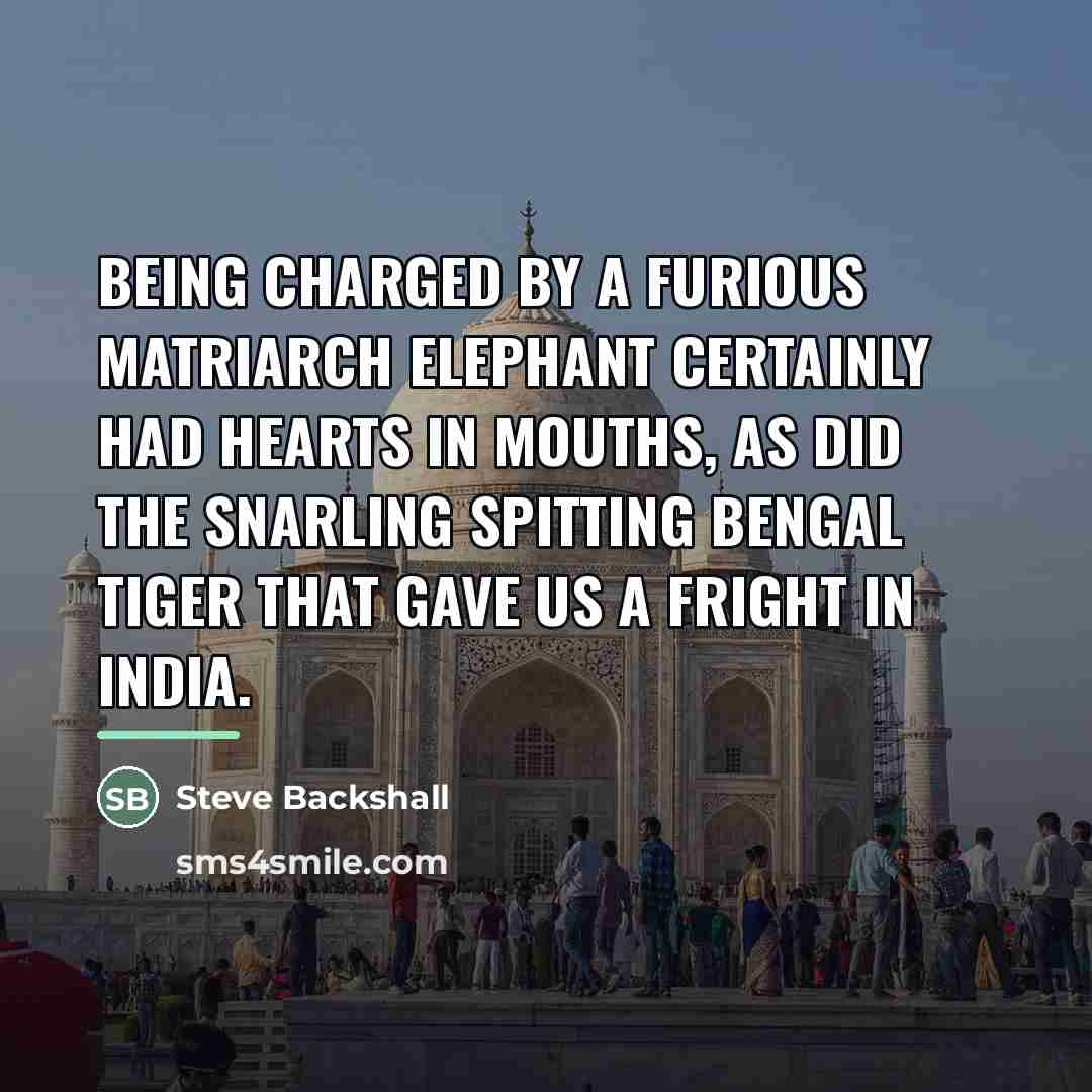 “Being charged by a furious matriarch elephant certainly had hearts…” quote by Steve Backshall
