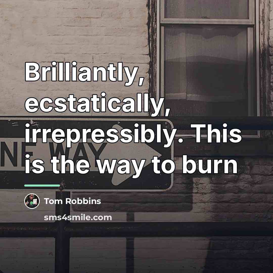 “Brilliantly, ecstatically, irrepressibly. This is the way to burn…” quote by Tom Robbins