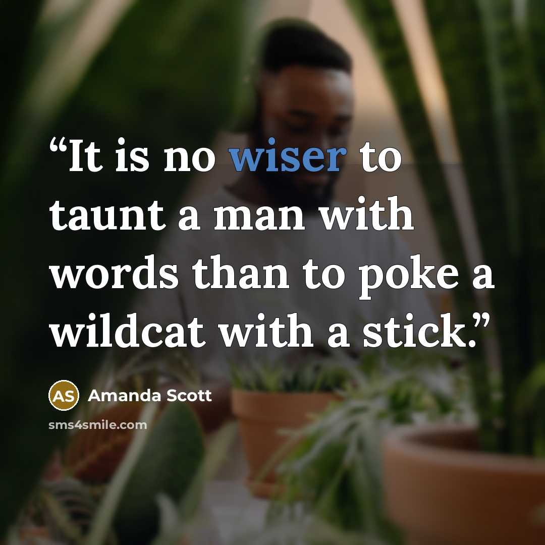 “It is no wiser to taunt a man with words than to poke a wildcat with a stick.” quote by Amanda Scott