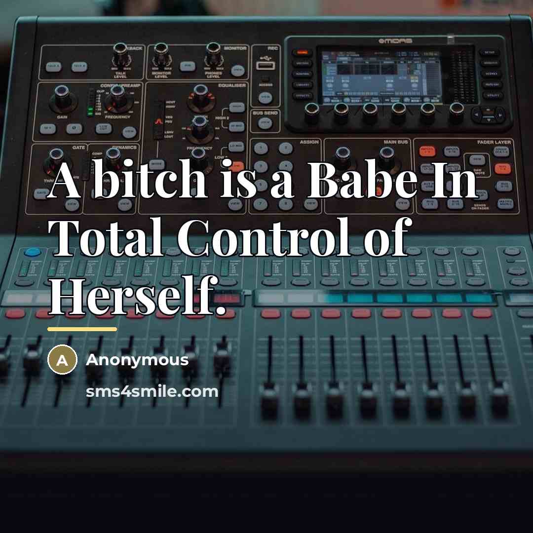 “A bitch is a Babe In Total Control of Herself.…” quote by Anonymous