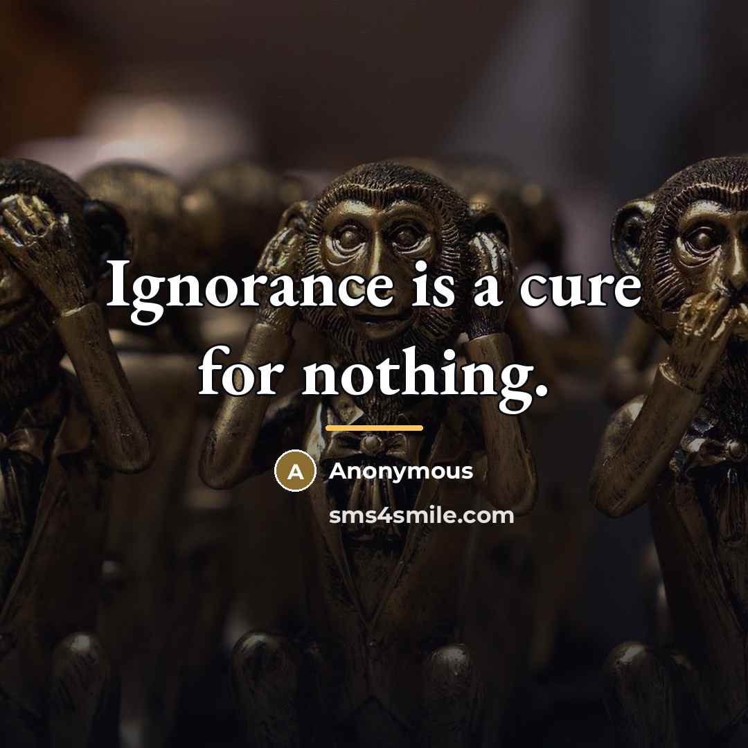 “Ignorance is a cure for nothing.…” quote by Anonymous