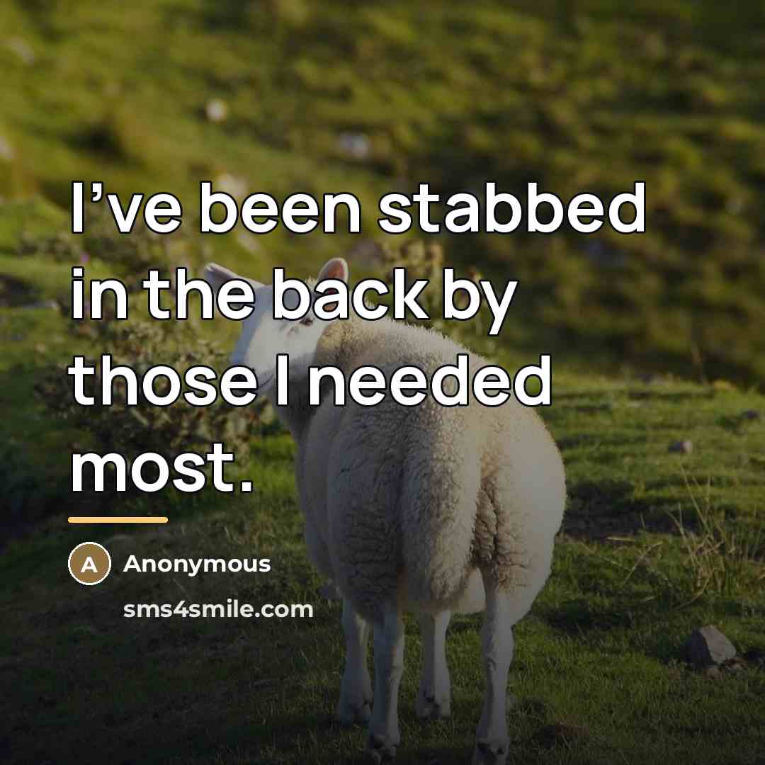 “I've been stabbed in the back by those I needed…” quote by Anonymous