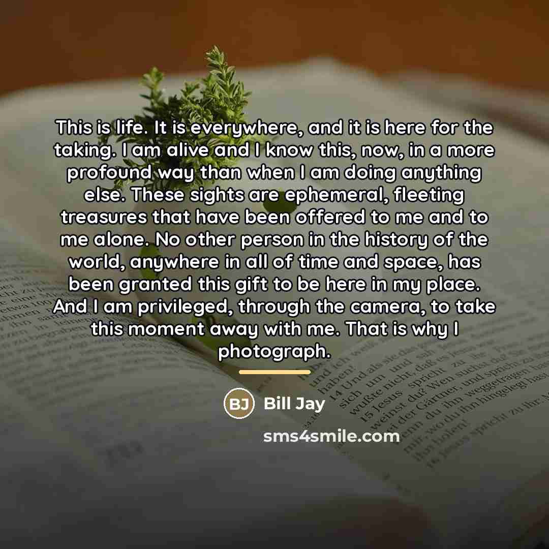 “This is life. It is everywhere, and it is here…” quote by Bill Jay
