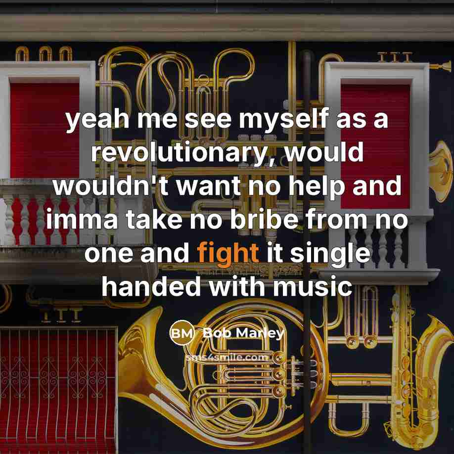 “yeah me see myself as a revolutionary, would wouldn't want…” quote by Bob Marley