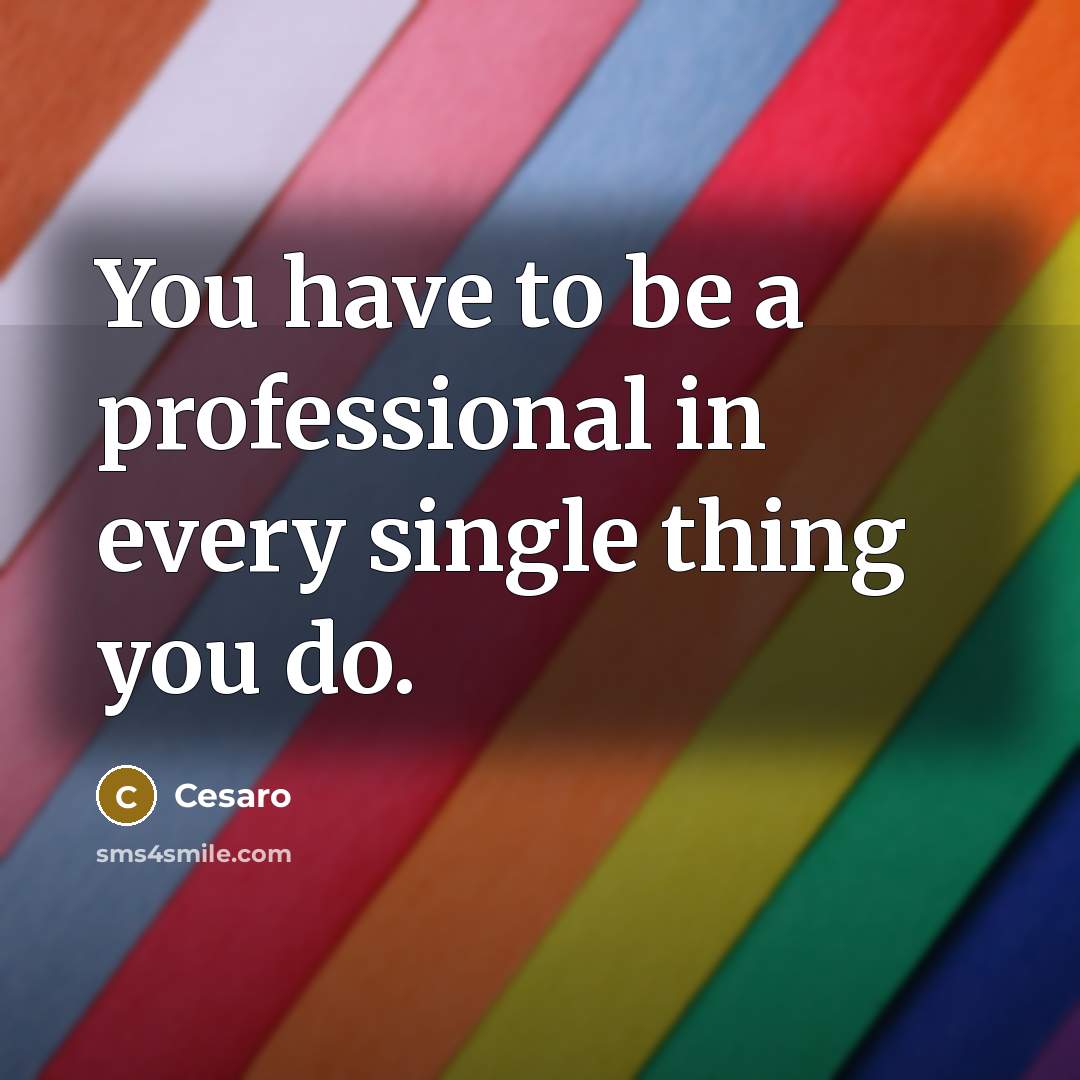 “You have to be a professional in every single thing…” quote by Cesaro