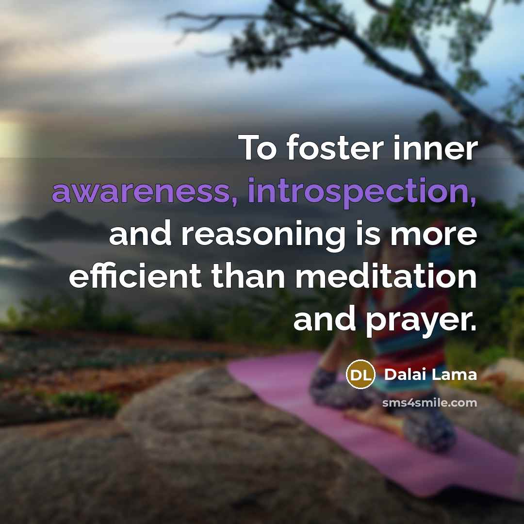 “To foster inner awareness, introspection, and reasoning is more efficient…” quote by Dalai Lama
