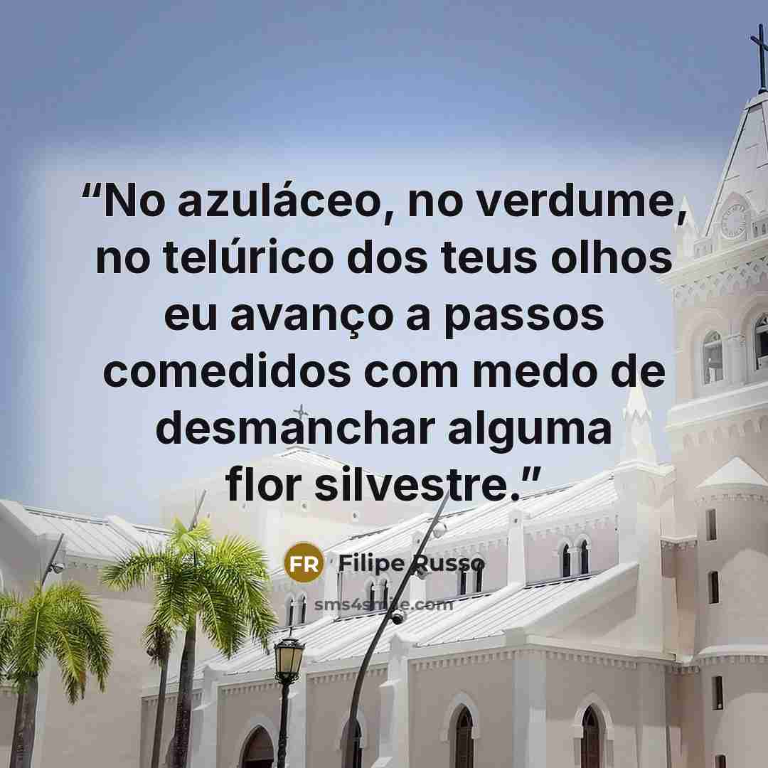 “No azuláceo, no verdume, no telúrico dos teus olhos eu avanço a passos comedidos com medo de desmanchar alguma flor silvestre.” quote by Filipe Russo
