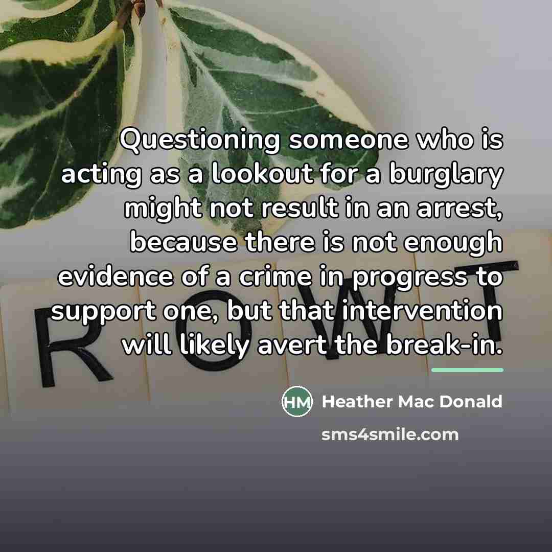 “Questioning someone who is acting as a lookout for a…” quote by Heather Mac Donald