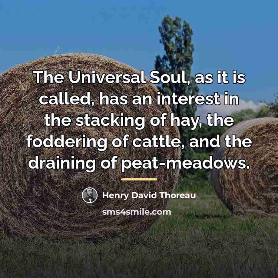 “The Universal Soul, as it is called, has an interest…” quote by Henry David Thoreau