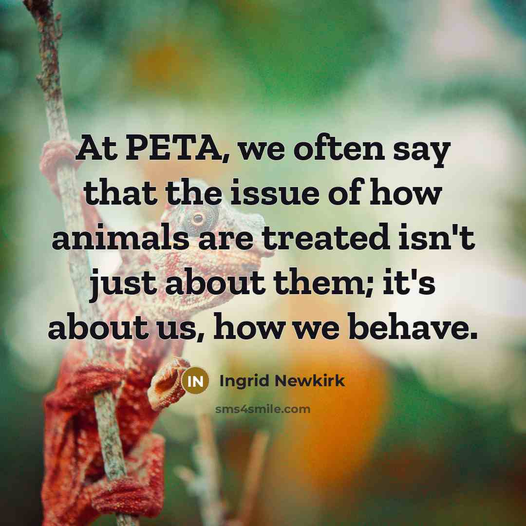 “At PETA, we often say that the issue of how…” quote by Ingrid Newkirk