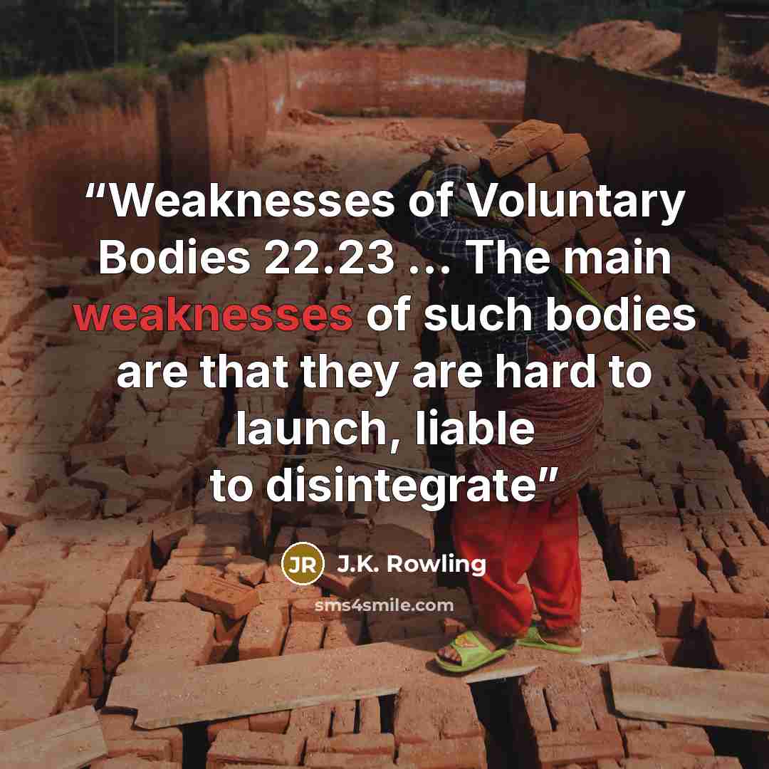 “Weaknesses of Voluntary Bodies 22.23 … The main weaknesses of such bodies are that they are hard to launch, liable to disintegrate” quote by J.K. Rowling