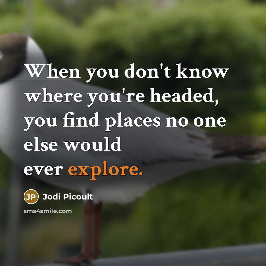 “When you don't know where you're headed, you find places no one else would ever explore.” quote by Jodi Picoult