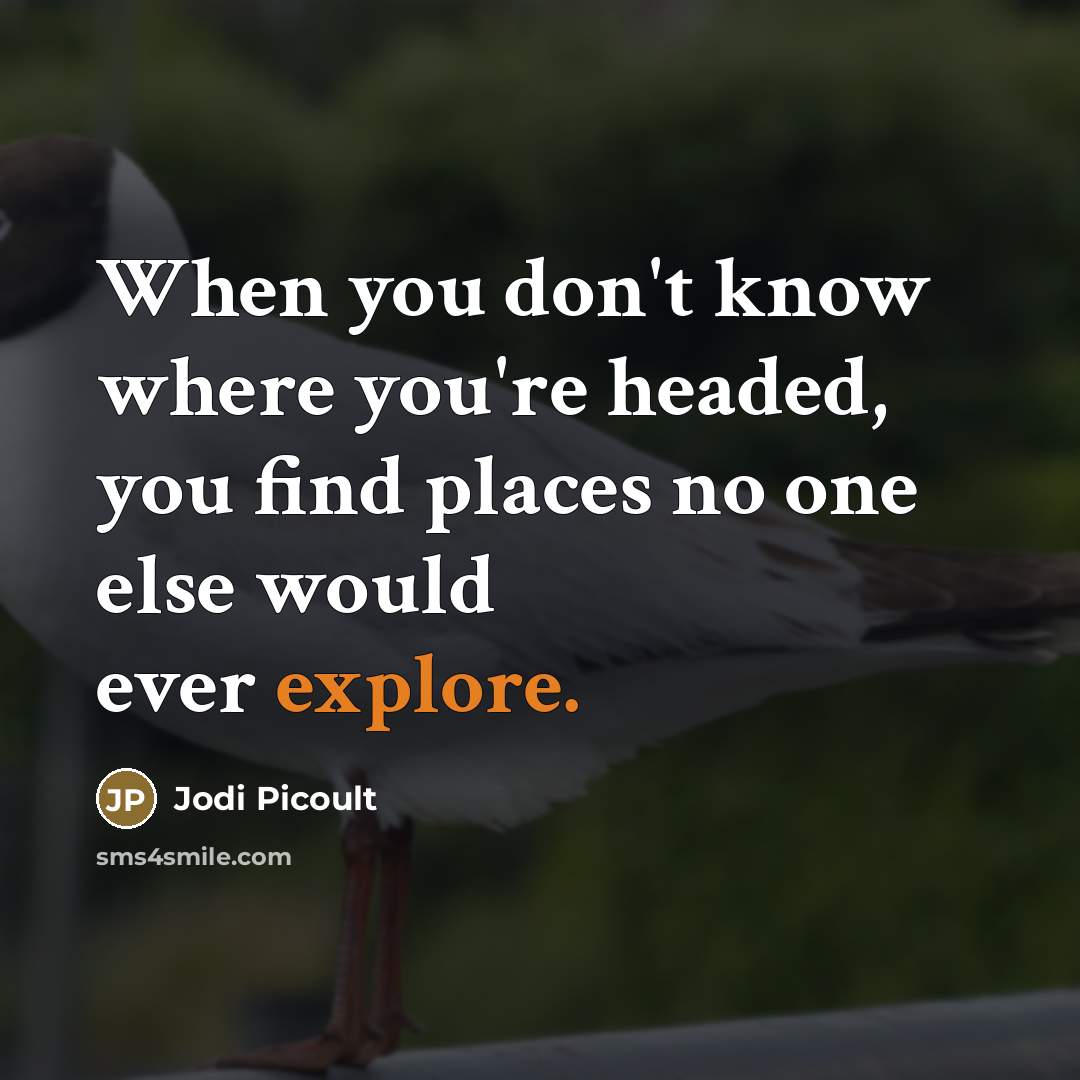 “When you don't know where you're headed, you find places…” quote by Jodi Picoult