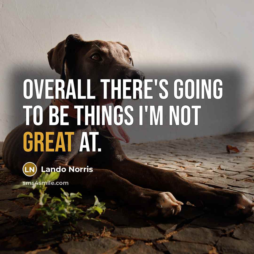 “Overall there's going to be things I'm not great at.…” quote by Lando Norris