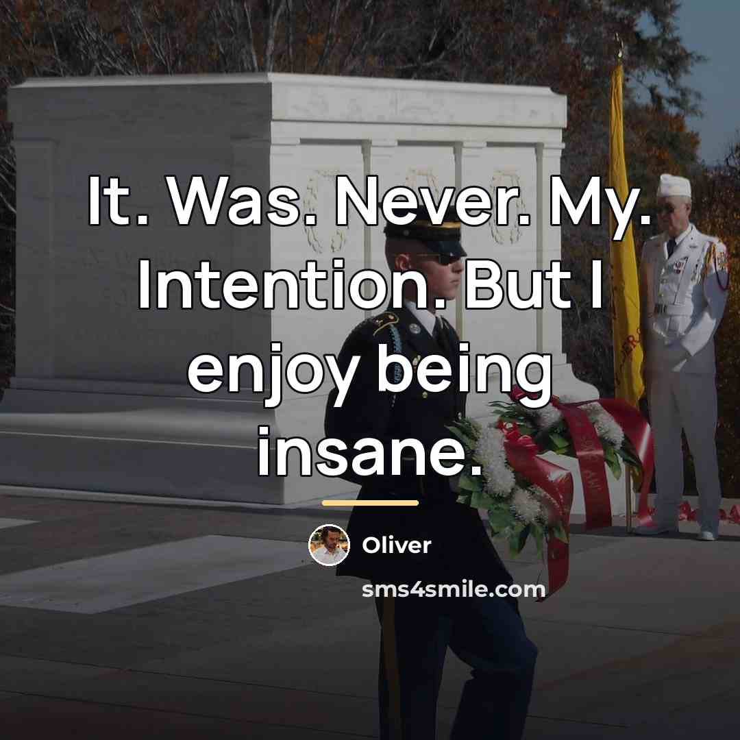 “It. Was. Never. My. Intention. But I enjoy being insane.…” quote by Oliver