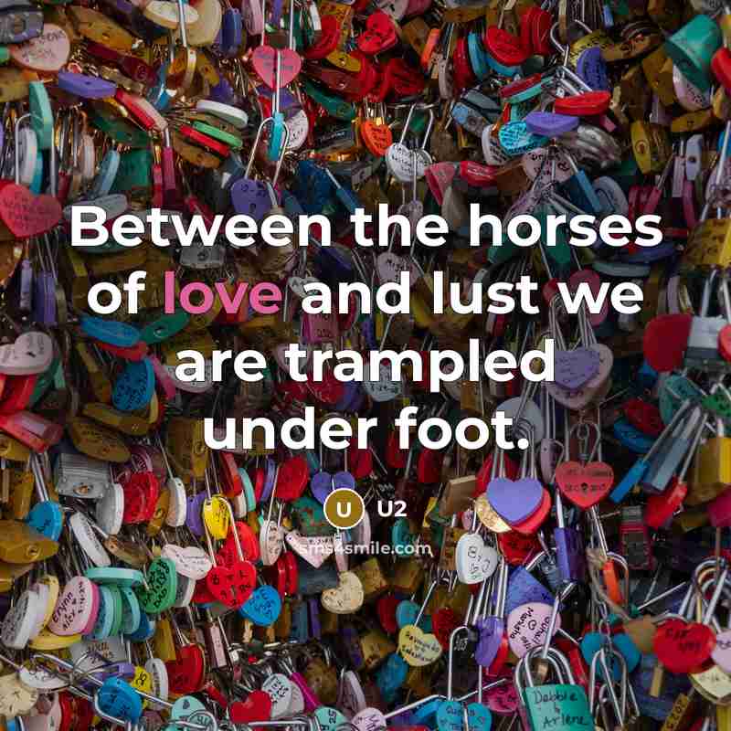 “Between the horses of love and lust we are trampled…” quote by U2