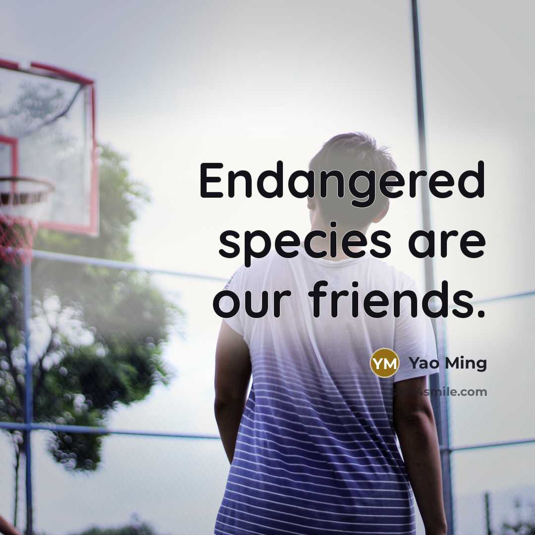 “Endangered species are our friends.…” quote by Yao Ming